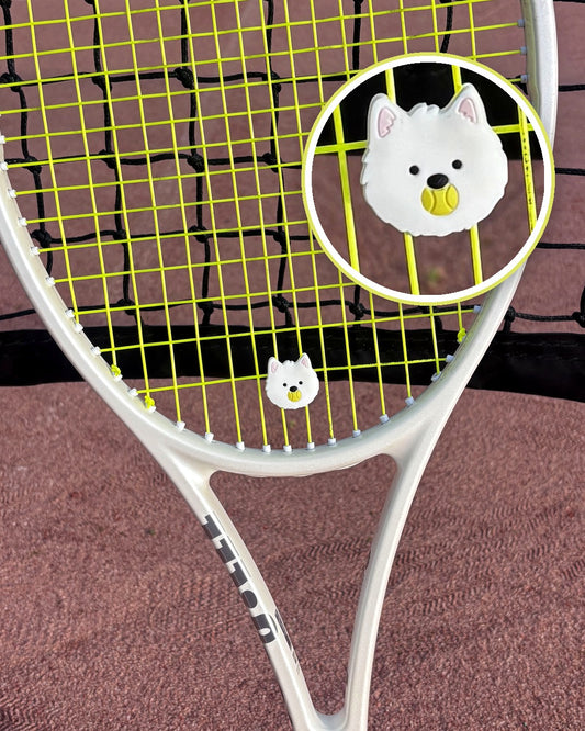 pwp-court-2026-07-19 tennis-dampener-curious.jpg