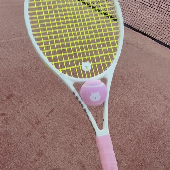 pwp-cav-pdp-video-2026-08-17 Pupcourt Cavoodle racket set on court