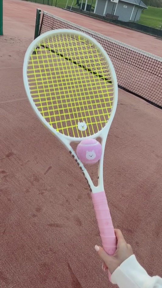 pwp-cav-pdp-video-2026-08-17 Pupcourt Cavoodle dampener on court