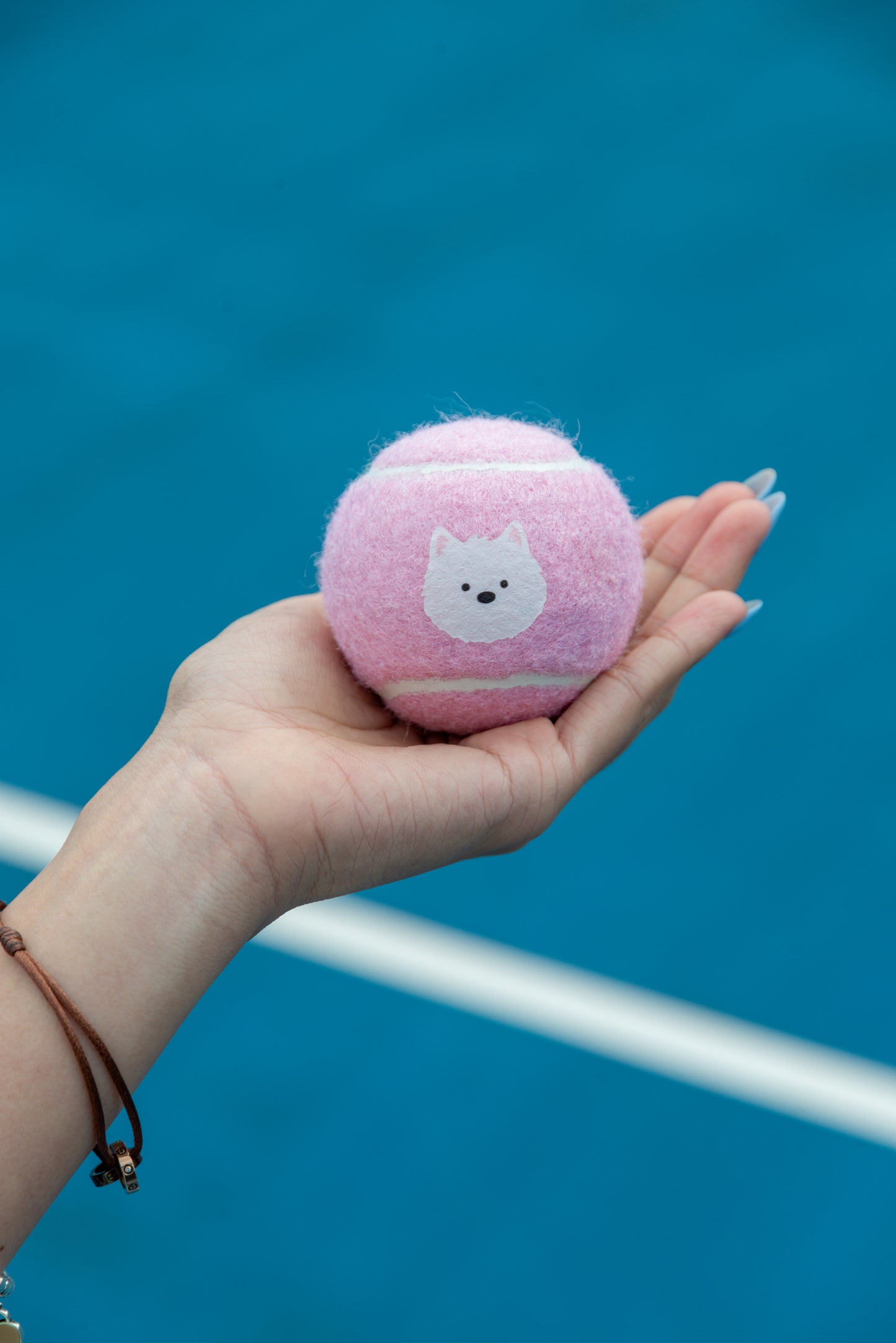 pwp-pdp-add-2026-08-02 pupcourt-racket-set-cavoodle B142 — The Pupcourt cavoodle racket set in use on court