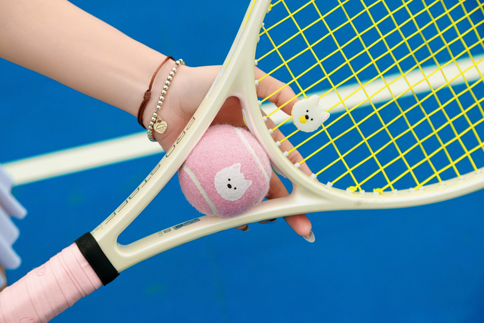 pwp-hero-retouched-2026-07-31 pupcourt-racket-set-cavoodle