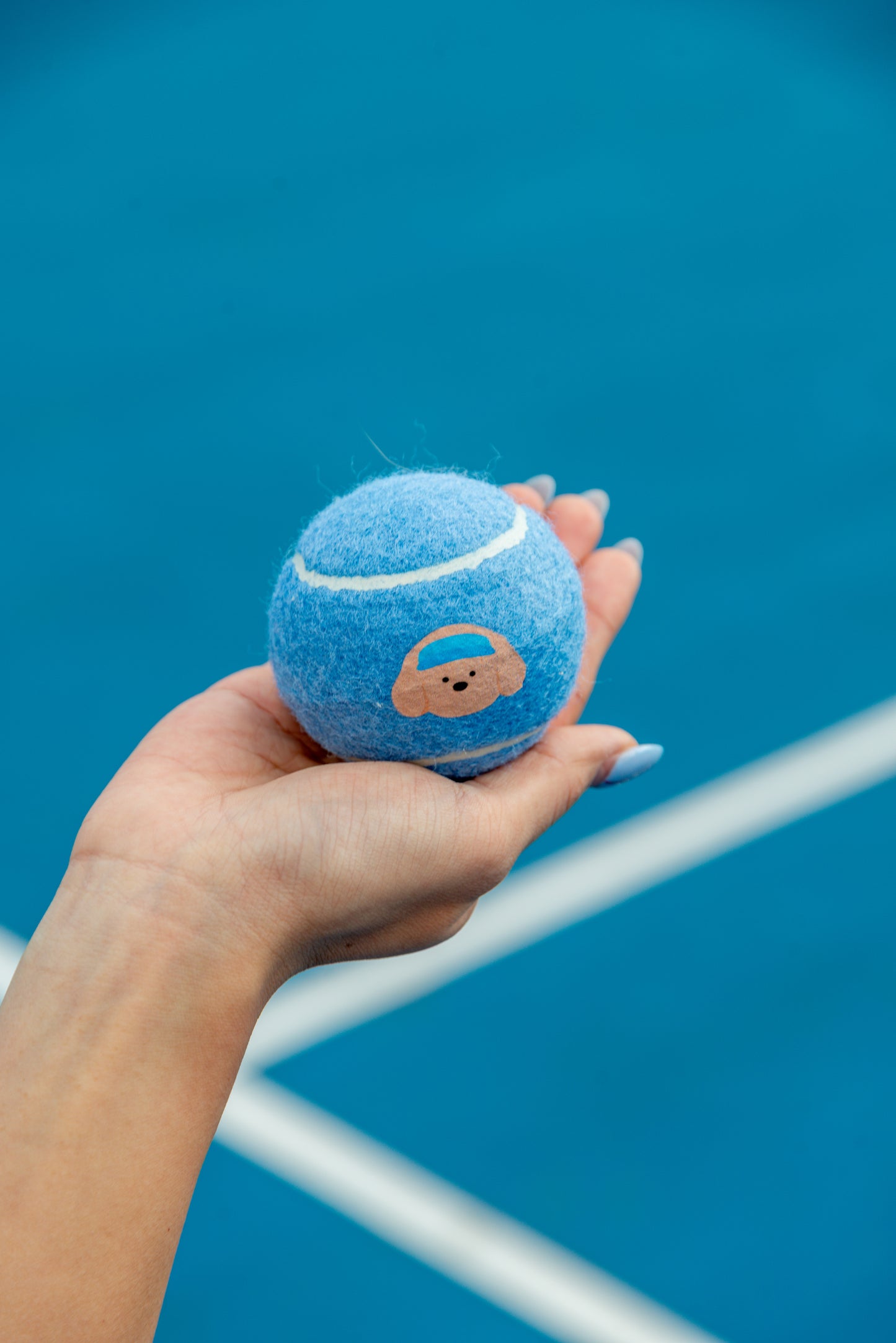 pwp-pdp-add-2026-08-02 pupcourt-racket-set-golden B190 — The Pupcourt golden retriever racket set in use on court