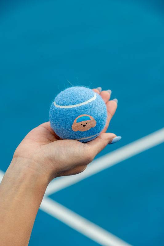 pwp-pdp-add-2026-08-02 pupcourt-racket-set-golden B190 — The Pupcourt golden retriever racket set in use on court