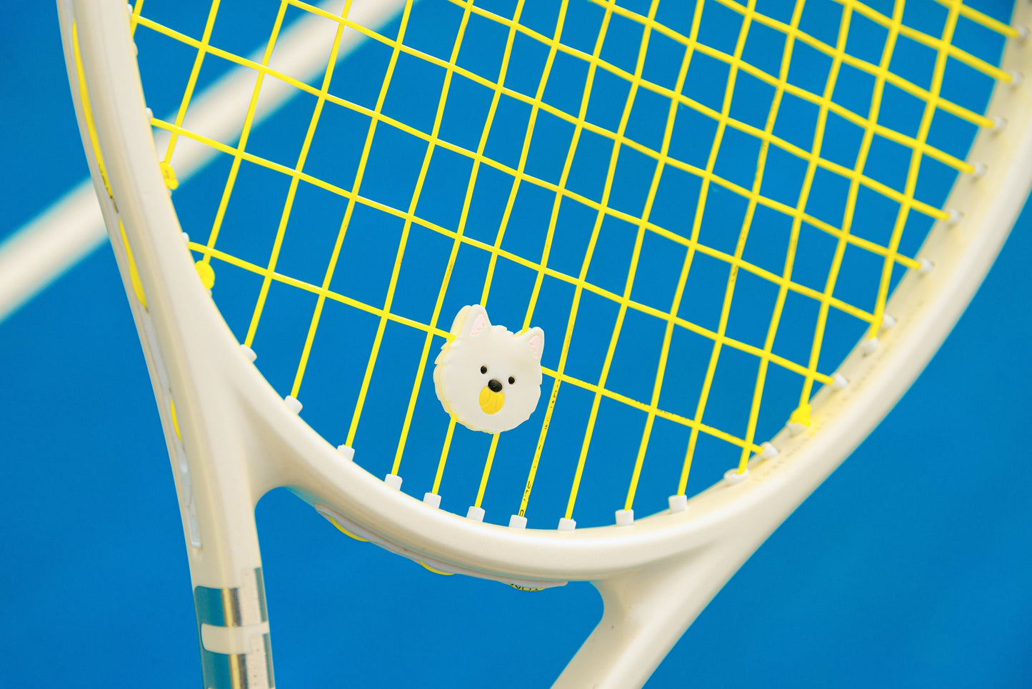 pwp-hero-retouched-2026-07-31 tennis-dampener-curious