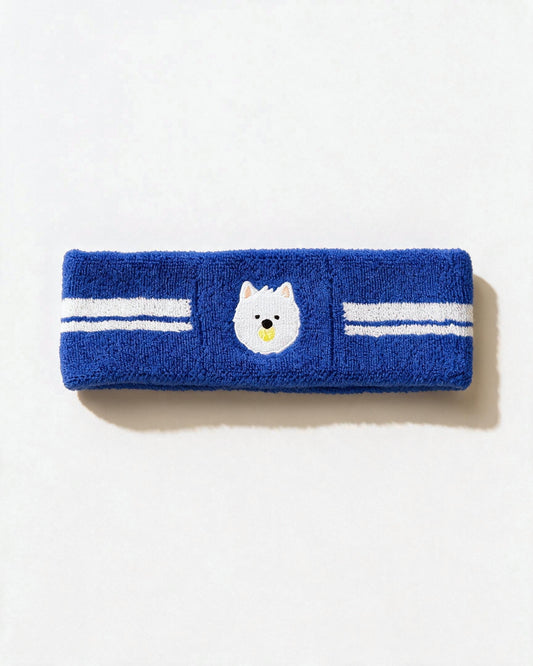 pwp-f3f3f3-pos0-2026-07-22 tennis-headband-curious.jpg