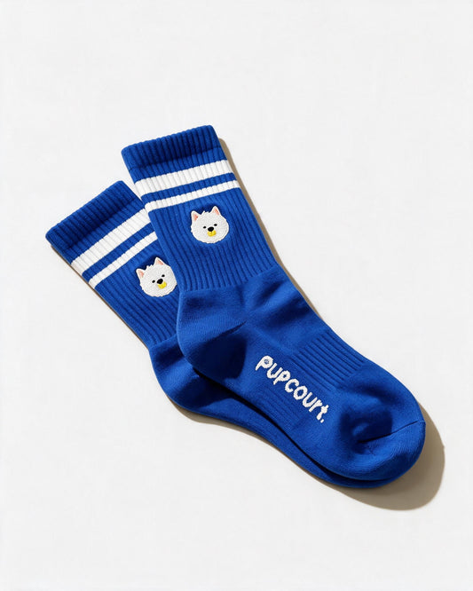 pwp-curious-recut-2026-07-29c tennis-socks-cushioned-crew-curious.jpg